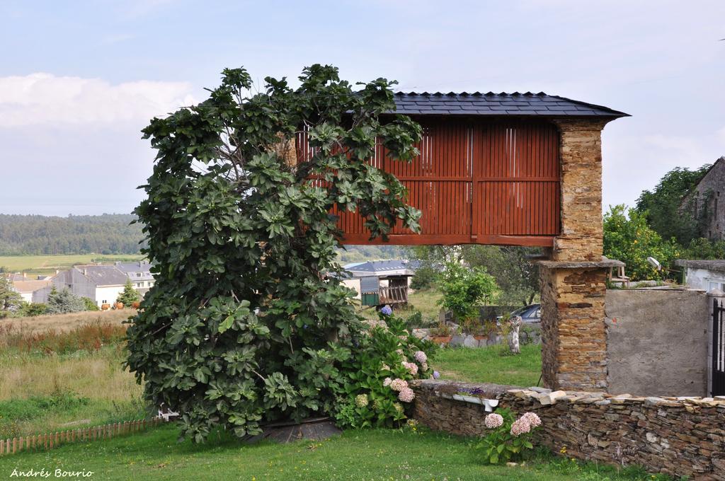 A Palleira Apartment *